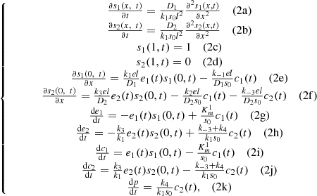 $$ \left\{\begin{array}{c}\begin{array}{cc}\frac{\mathrm{\partial }{s}_1(x,\enspace t)}{\mathrm{\partial }t}=\frac{{D}_1}{{k}_1{s}_0{l}^2}\frac{{\mathrm{\partial }}^2{s}_1(x,t)}{\mathrm{\partial }{x}^2}& (2\mathrm{a})\end{array}\\ \begin{array}{cc}\frac{\mathrm{\partial }{s}_2(x,\enspace t)}{\mathrm{\partial }t}=\frac{{D}_2}{{k}_1{s}_0{l}^2}\frac{{\mathrm{\partial }}^2{s}_2(x,t)}{\mathrm{\partial }{x}^2}& (2\mathrm{b})\end{array}\\ \begin{array}{c}\begin{array}{cc}{s}_1(1,t)=1& (2\mathrm{c})\end{array}\\ \begin{array}{c}\begin{array}{cc}{s}_2(1,t)=0& (2\mathrm{d})\end{array}\\ \begin{array}{c}\begin{array}{cc}\frac{\mathrm{\partial }{s}_1(0,\enspace t)}{\mathrm{\partial }x}=\frac{{k}_1{el}}{{D}_1}{e}_1(t){s}_1(0,t)-\frac{{k}_{-1}{el}}{{D}_1{s}_0}{c}_1(t)& (2\mathrm{e})\end{array}\\ \begin{array}{c}\begin{array}{cc}\frac{\mathrm{\partial }{s}_2(0,\enspace t)}{\mathrm{\partial }x}=\frac{{k}_3{el}}{{D}_2}{e}_2(t){s}_2(0,t)-\frac{{k}_2{el}}{{D}_2{s}_0}{c}_1(t)-\frac{{k}_{-3}{el}}{{D}_2{s}_0}{c}_2(t)& (2\mathrm{f})\end{array}\\ \begin{array}{c}\begin{array}{cc}\frac{\mathrm{d}{e}_1}{\mathrm{d}t}=-{e}_1(t){s}_1(0,t)+\frac{{K}_m^1}{{s}_0}{c}_1(t)& (2\mathrm{g})\end{array}\\ \begin{array}{c}\begin{array}{cc}\frac{\mathrm{d}{e}_2}{\mathrm{d}t}=-\frac{{k}_3}{{k}_1}{e}_2(t){s}_2(0,t)+\frac{{k}_{-3}+{k}_4}{{k}_1{s}_0}{c}_2(t)& (2\mathrm{h})\end{array}\\ \begin{array}{c}\begin{array}{cc}\frac{\mathrm{d}{c}_1}{\mathrm{d}t}={e}_1(t){s}_1(0,t)-\frac{{K}_m^1}{{s}_0}{c}_1(t)& (2\mathrm{i})\end{array}\\ \begin{array}{c}\begin{array}{cc}\frac{\mathrm{d}{c}_2}{\mathrm{d}t}=\frac{{k}_3}{{k}_1}{e}_2(t){s}_2(0,t)-\frac{{k}_{-3}+{k}_4}{{k}_1{s}_0}{c}_2(t)& (2\mathrm{j})\end{array}\\ \begin{array}{cc}\frac{\mathrm{d}p}{\mathrm{d}t}=\frac{{k}_4}{{k}_1{s}_0}{c}_2(t),& (2\mathrm{k})\end{array}\end{array}\end{array}\end{array}\end{array}\end{array}\end{array}\end{array}\end{array}\end{array}\right. $$