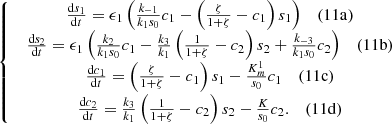 $$ \left\{\begin{array}{c}\begin{array}{cc}\frac{\mathrm{d}{s}_1}{\mathrm{d}t}={\epsilon }_1\left(\frac{{k}_{-1}}{{k}_1{s}_0}{c}_1-\left(\frac{\zeta }{1+\zeta }-{c}_1\right){s}_1\right)& (11\mathrm{a})\end{array}\\ \begin{array}{cc}\frac{\mathrm{d}{s}_2}{\mathrm{d}t}={\epsilon }_1\left(\frac{{k}_2}{{k}_1{s}_0}{c}_1-\frac{{k}_3}{{k}_1}\left(\frac{1}{1+\zeta }-{c}_2\right){s}_2+\frac{{k}_{-3}}{{k}_1{s}_0}{c}_2\right)& (11\mathrm{b})\end{array}\\ \genfrac{}{}{0pt}{}{\begin{array}{cc}\frac{\mathrm{d}{c}_1}{\mathrm{d}t}=\left(\frac{\zeta }{1+\zeta }-{c}_1\right){s}_1-\frac{{K}_m^1}{{s}_0}{c}_1& (11\mathrm{c})\end{array}}{\begin{array}{cc}\frac{\mathrm{d}{c}_2}{\mathrm{d}t}=\frac{{k}_3}{{k}_1}\left(\frac{1}{1+\zeta }-{c}_2\right){s}_2-\frac{K}{{s}_0}{c}_2.& (11\mathrm{d})\end{array}}\end{array}\right. $$