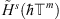 $ {\tilde{H}}^s(\hslash {\mathbb{T}}^m)$