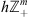 $ h{\mathbb{Z}}_{+}^m$
