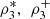 $ {\rho }_3^{\mathrm{*}},\enspace {\rho }_3^{+}$