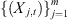 $ \{({X}_{j,t}){\}}_{j=1}^m$