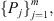 $ \{{P}_j{\}}_{j=1}^m,$