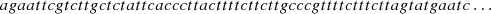 $$ {agaattcgtcttgctctattcacccttacttttct}{tcttgcccgttttctttcttagtatgaatc}\dots $$