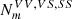 $ {N}_m^{{VV},{VS},{SS}}$