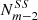 $ {N}_{m-2}^{{SS}}$