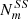 $ {N}_m^{{SS}}$