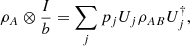 $$ {\rho }_A\otimes \frac{I}{b}=\sum_j {p}_j{U}_j{\rho }_{{AB}}{U}_j^{\dagger }, $$