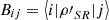 $ {{B}_{{ij}}}=\left\langle i|{\rho \prime}_{{SR}}|j\right\rangle $